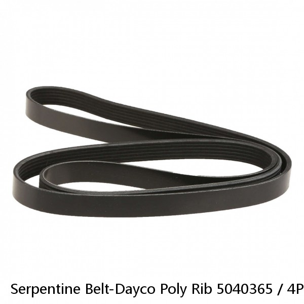 Serpentine Belt-Dayco Poly Rib 5040365 / 4PK0925