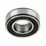 SKF NSK 6007 Deep Groove Ball Bearing for Auto Parts 6000, 6200, 6300 Series