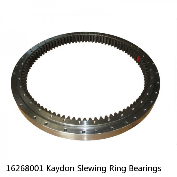 16268001 Kaydon Slewing Ring Bearings