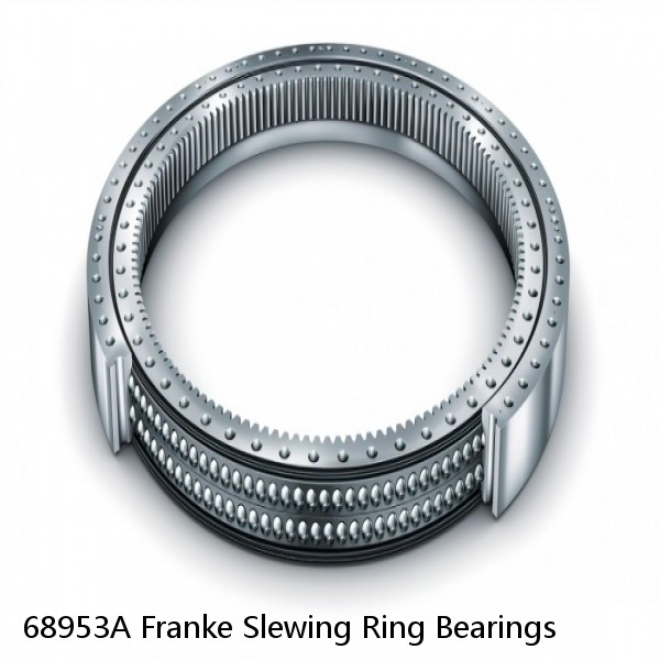 68953A Franke Slewing Ring Bearings