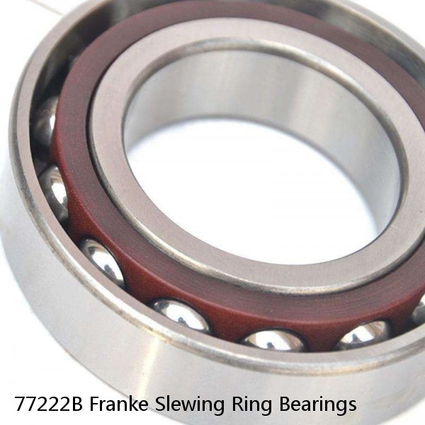 77222B Franke Slewing Ring Bearings