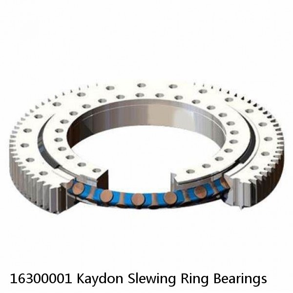 16300001 Kaydon Slewing Ring Bearings