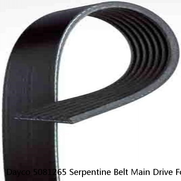 Dayco 5081265 Serpentine Belt Main Drive For 94-04 3800 4600 4700 4700LP 4700LPX #1 small image