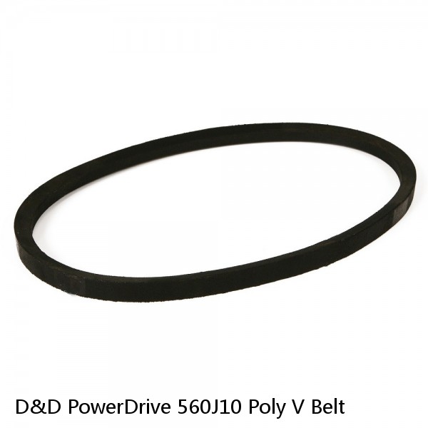 D&D PowerDrive 560J10 Poly V Belt #1 small image