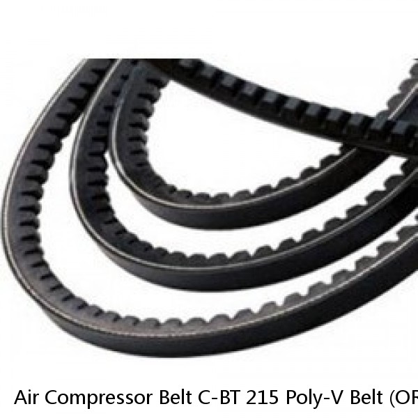 Air Compressor Belt C-BT 215 Poly-V Belt (ORB1001) #1 small image