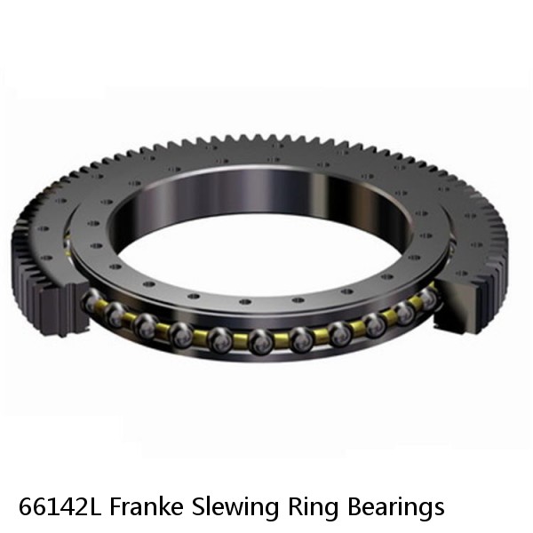 66142L Franke Slewing Ring Bearings #1 image