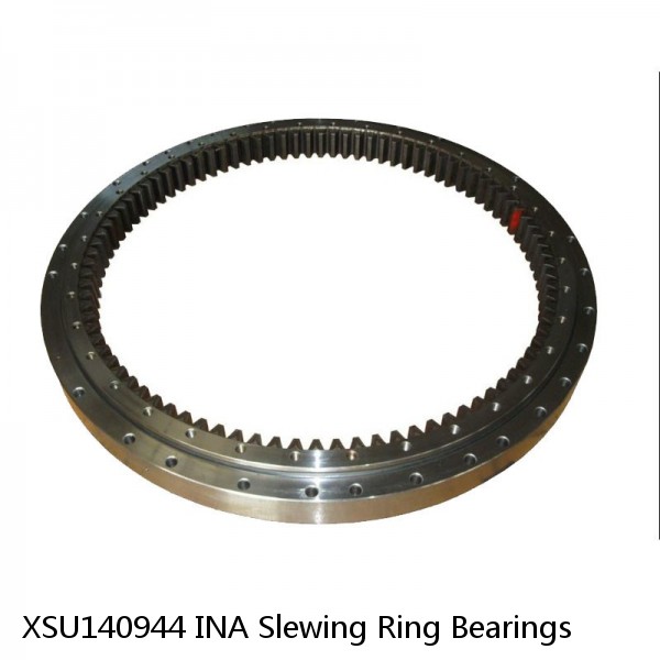 XSU140944 INA Slewing Ring Bearings #1 image