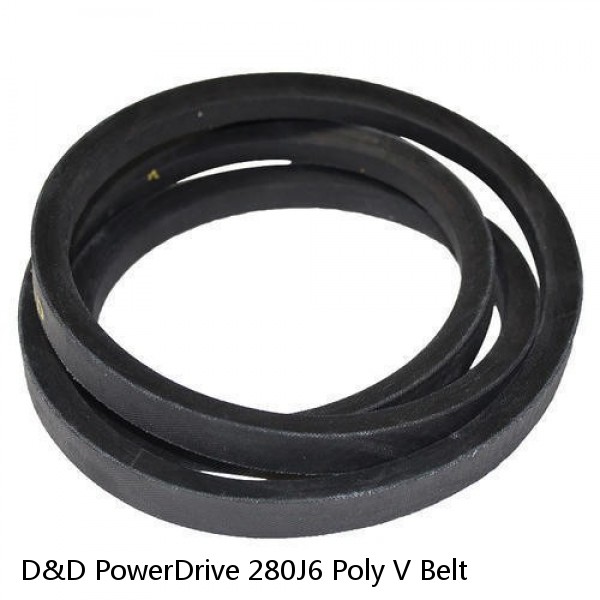 D&D PowerDrive 280J6 Poly V Belt #1 image