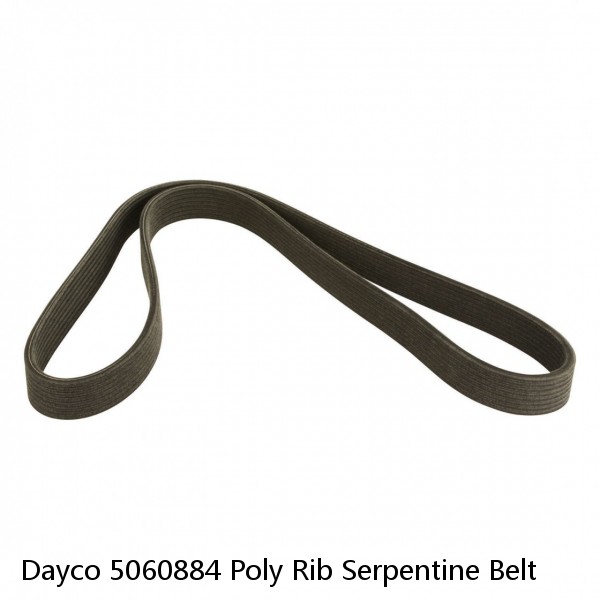 Dayco 5060884 Poly Rib Serpentine Belt #1 image